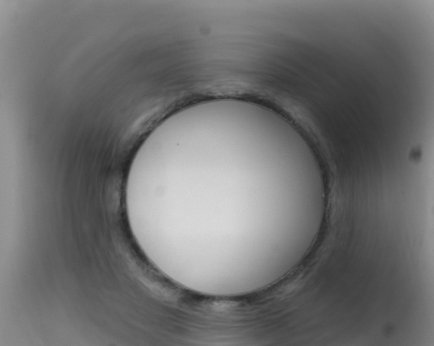 X0000115670501200911121009