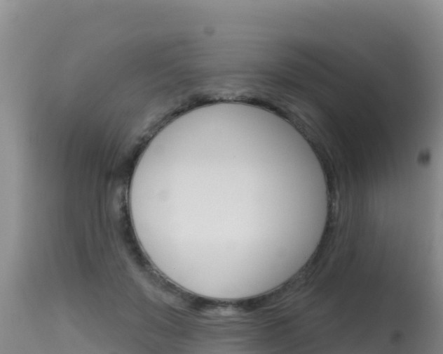 X0000115670503200911121009