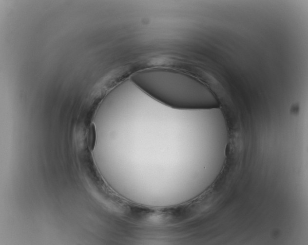 X0000115670504200911121009