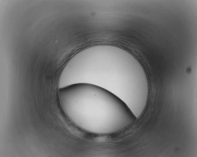 X0000115670505200911121009