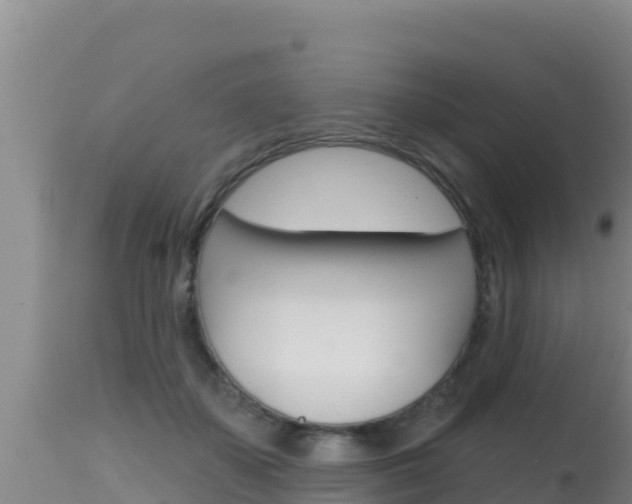 X0000115670507200911121009