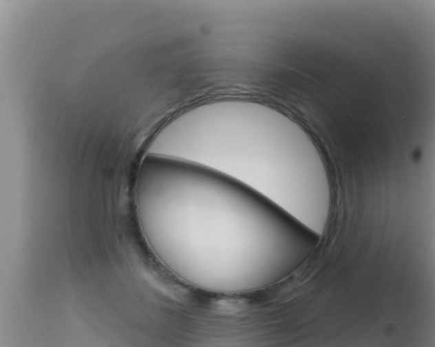 X0000115670508200911121009