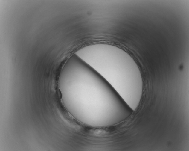 X0000115670512200911121009