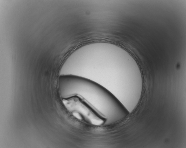 X0000115670513200911121009