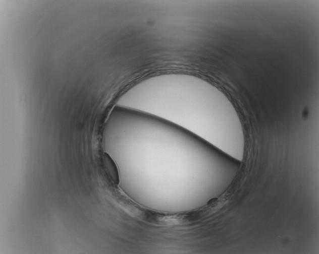 X0000115670516200911121009