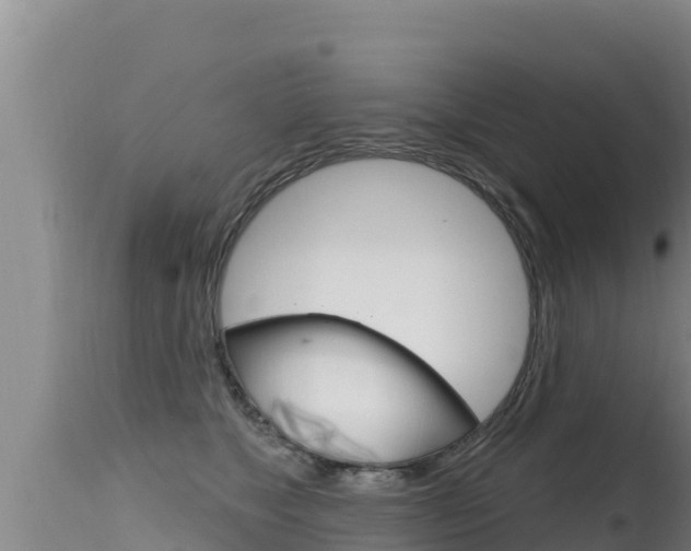 X0000115670517200911121009