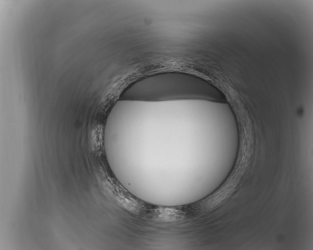 X0000115670528200911121009