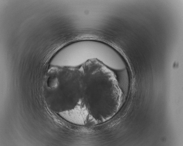 X0000115670529200911121008
