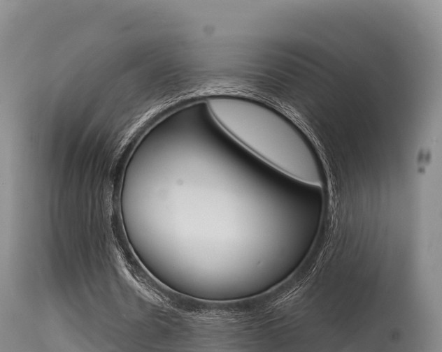 X0000115670530200911121008