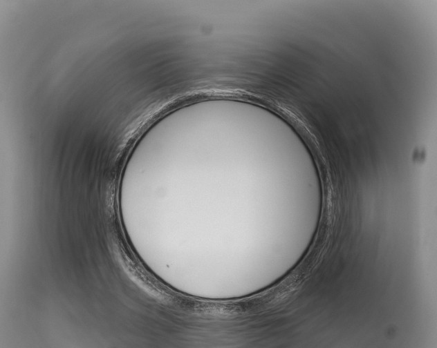 X0000115670533200911121008