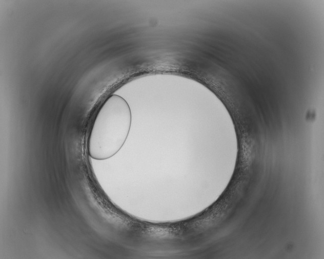 X0000115670534200911121008
