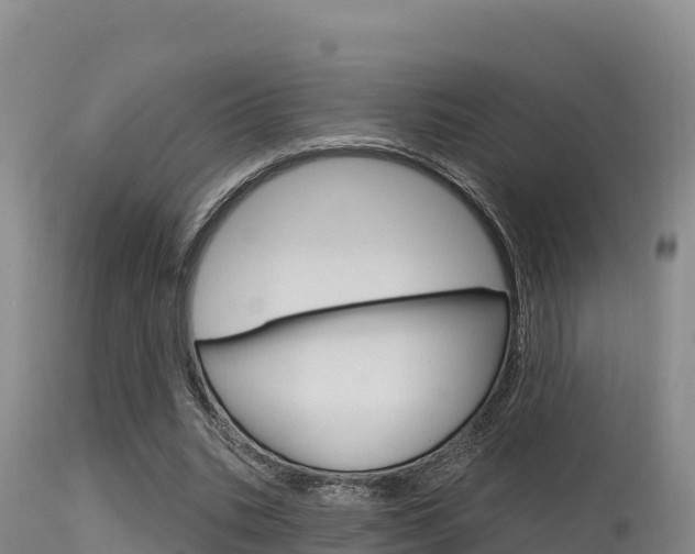 X0000115670535200911121008