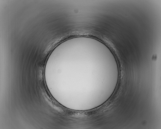 X0000115670537200911121008