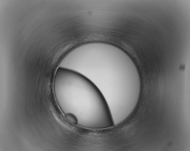 X0000115670538200911121008