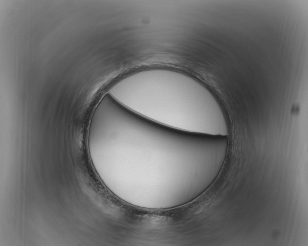X0000115670539200911121008