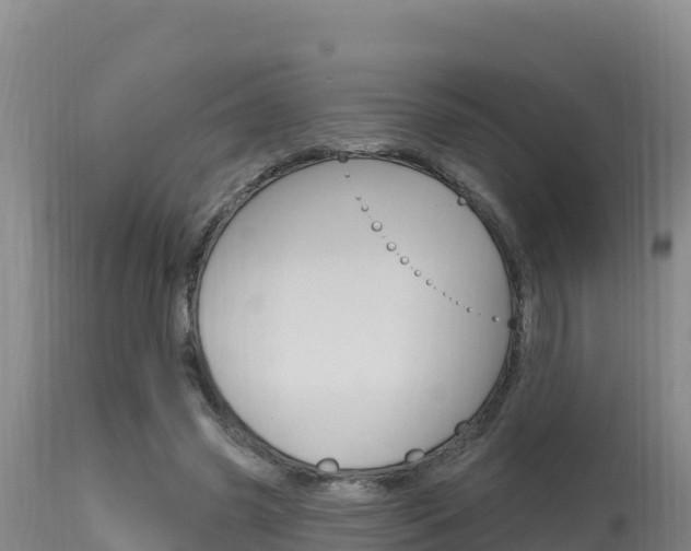 X0000115670541200911121009