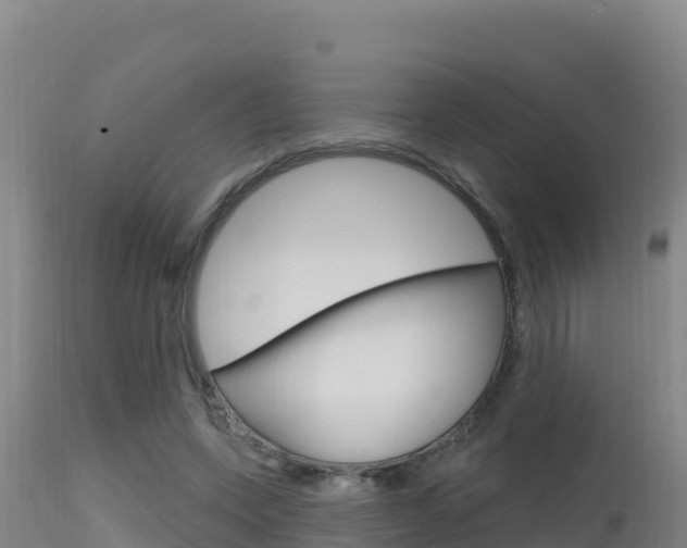X0000115670543200911121009