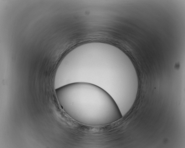 X0000115670546200911121009