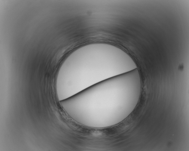 X0000115670547200911121009