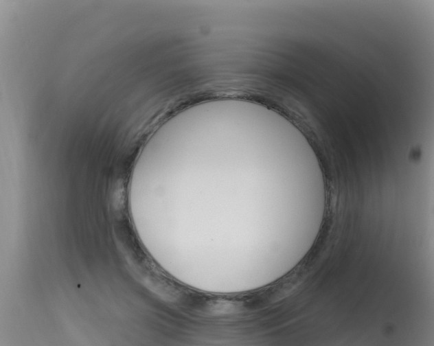 X0000115670549200911121009