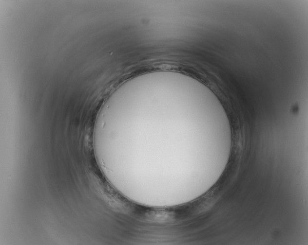 X0000115670553200911121009