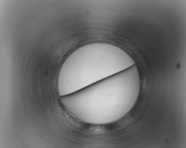X0000115670559200911121009
