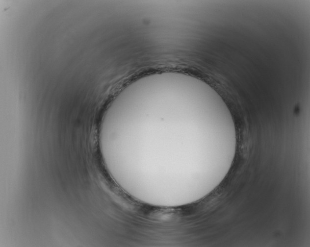 X0000115670563200911121009