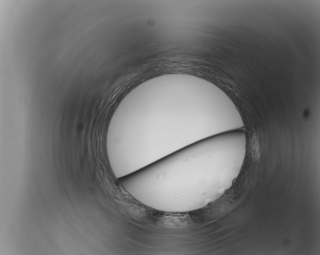X0000115670571200911121009