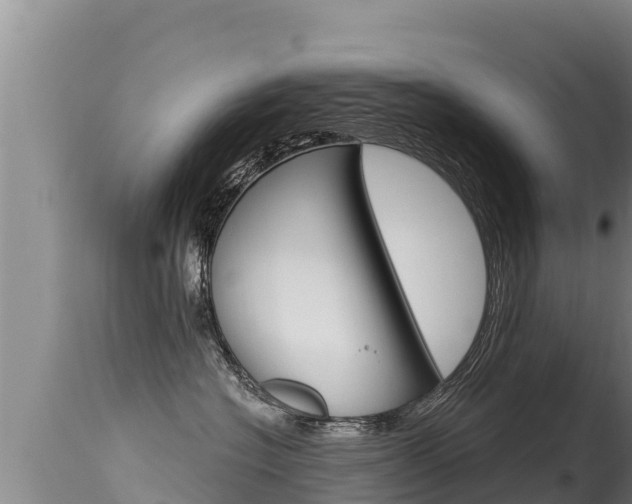 X0000115670574200911121009