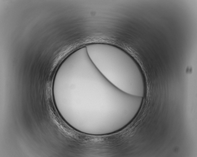 X0000115670578200911121008