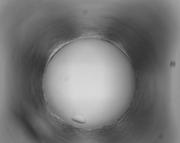 X0000115670579200911121008