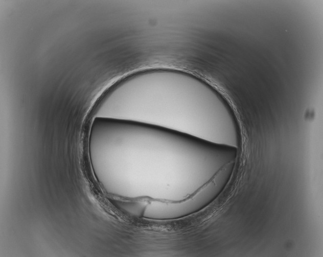 X0000115670580200911121008