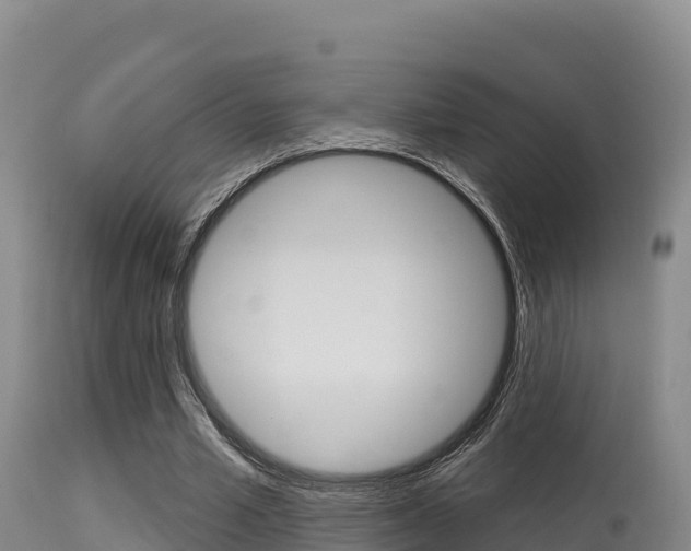 X0000115670581200911121008
