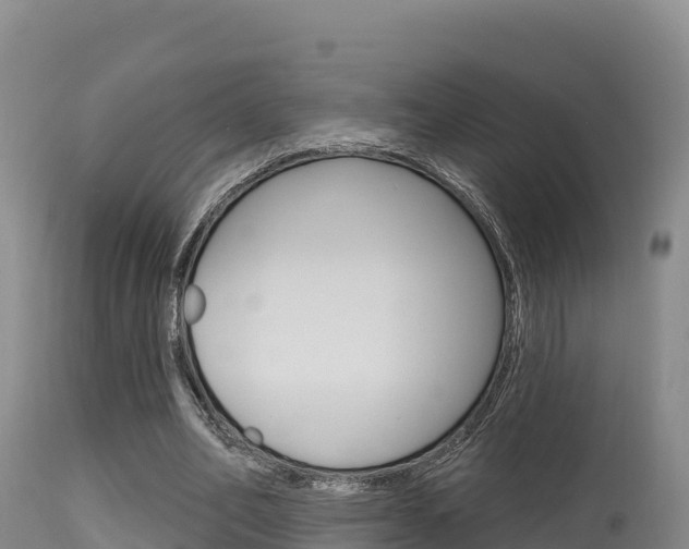 X0000115670582200911121008