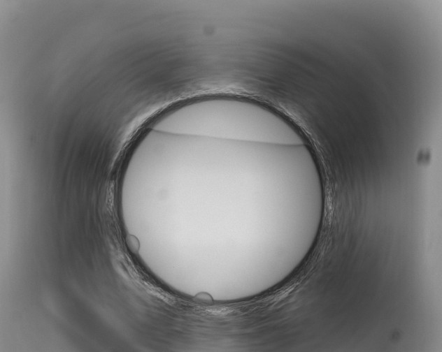 X0000115670583200911121008