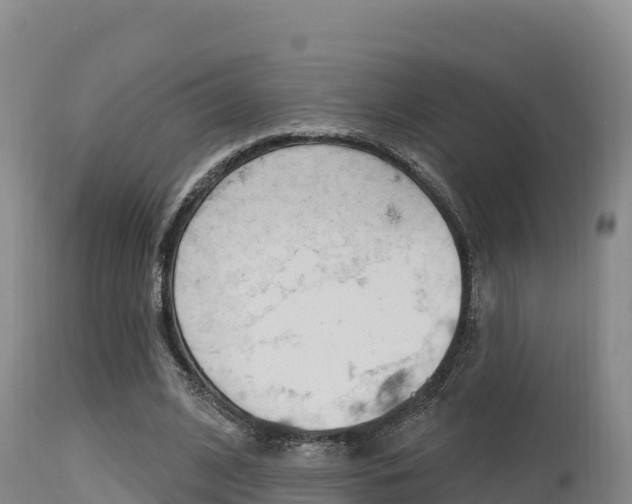 X0000115670584200911121008