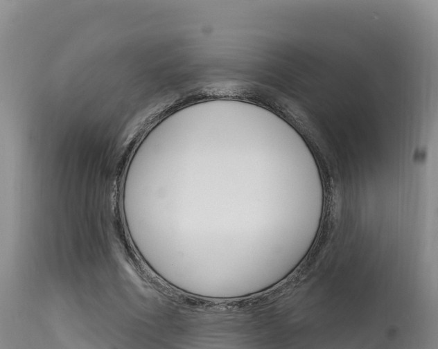 X0000115670586200911121008