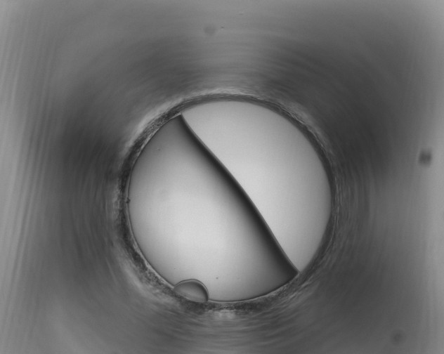 X0000115670588200911121008