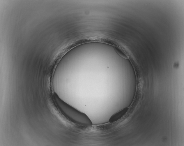 X0000115670589200911121008