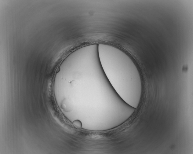 X0000115670590200911121008