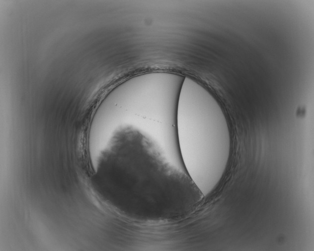 X0000115670591200911121008