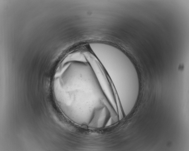X0000115670592200911121008