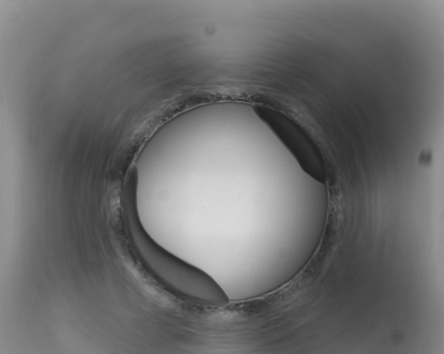 X0000115670593200911121008