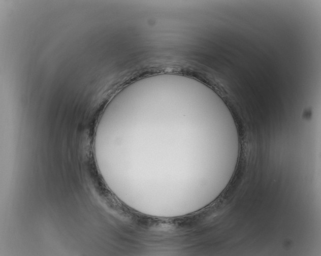 X0000115670594200911121008