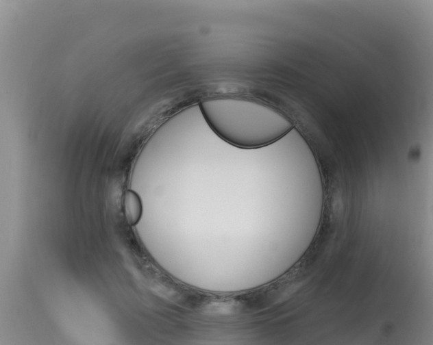 X0000115670595200911121008