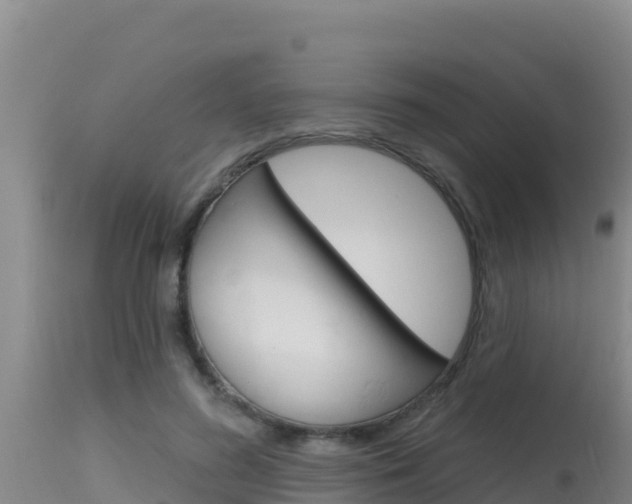 X0000115670596200911121008