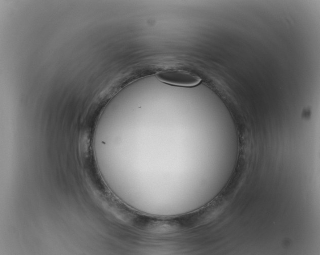 X0000115670597200911121008