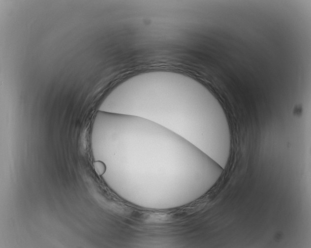 X0000115670599200911121008