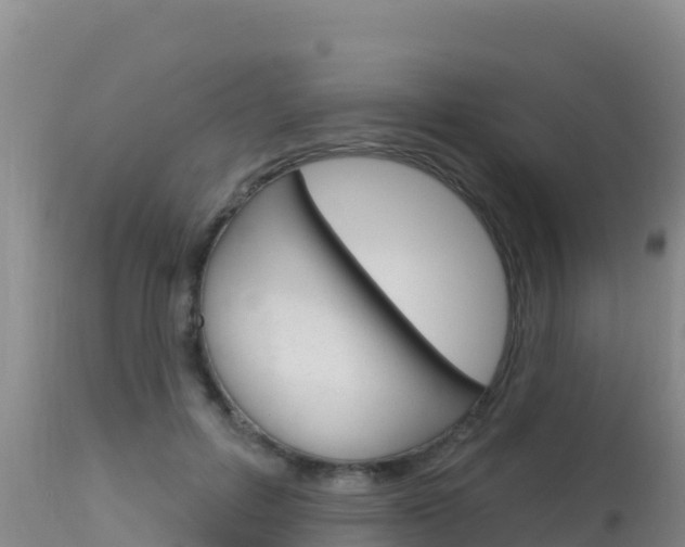 X0000115670600200911121008