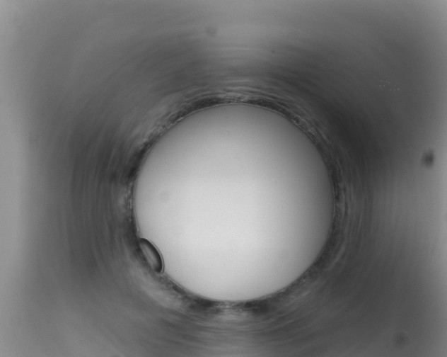 X0000115670601200911121008